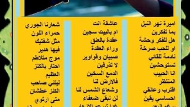 FB IMG 1638353868323