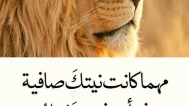 FB IMG 1638434574102