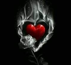 FB IMG 1638793440978