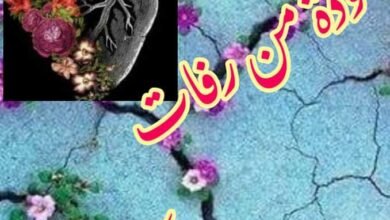 FB IMG 1639561544272