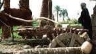 IMG ٢٠٢١١٢٠٣ ٢١٤٣٤٩