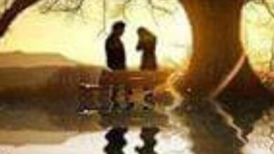 IMG ٢٠٢١١٢١٨ ١٠٣٢٥٣