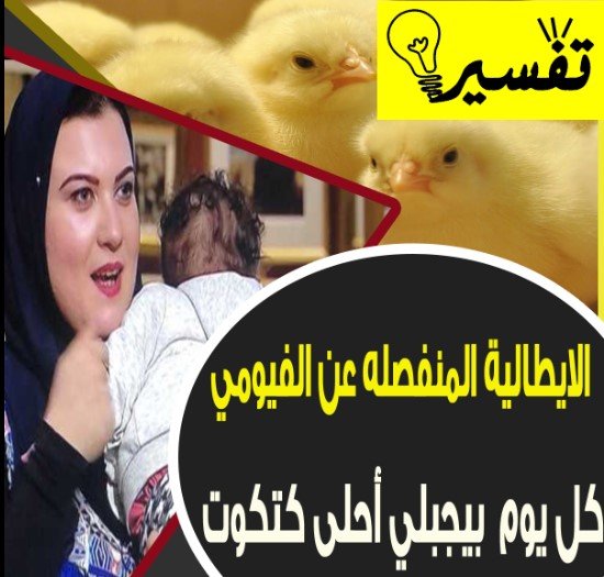 قصة انفصال أمينة الإيطالية من زوجها الفيومي