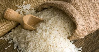 بورصة الأرز الشعير اليوم في مصر 2022