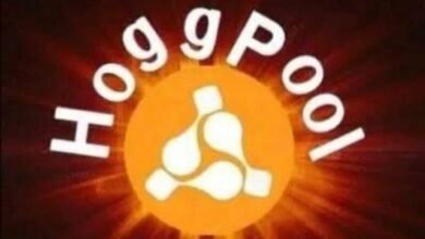 hogg pool